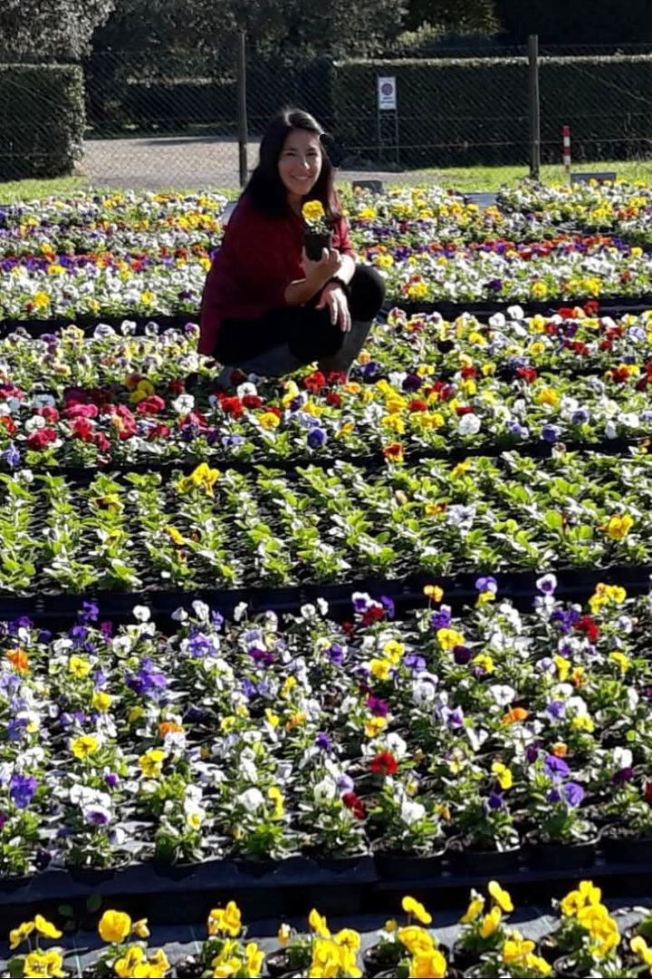 A grower among the pansies, holding a small pot